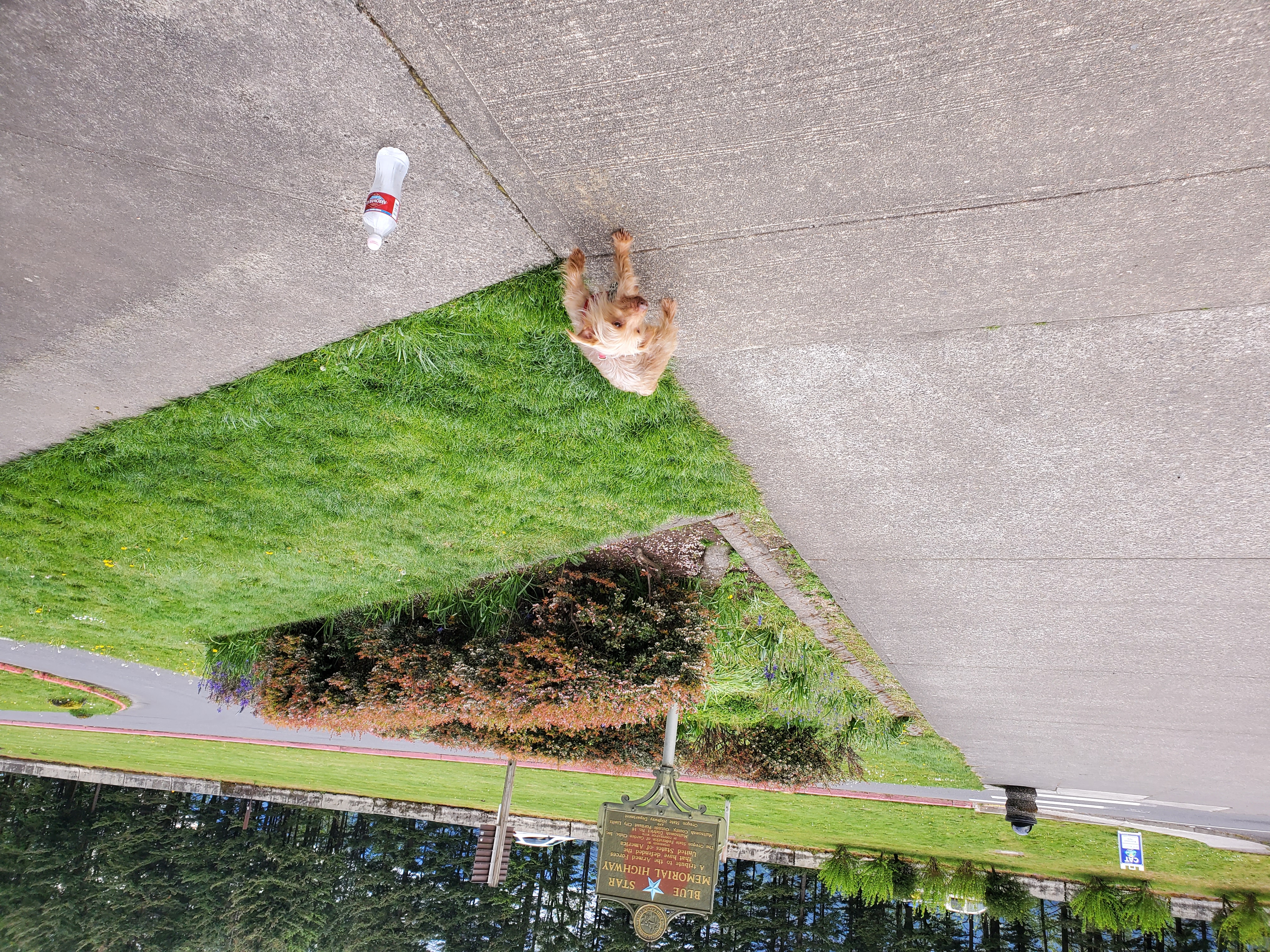 Multnomah Falls view